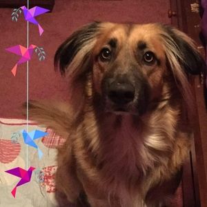 Meet your Posher, Stacey